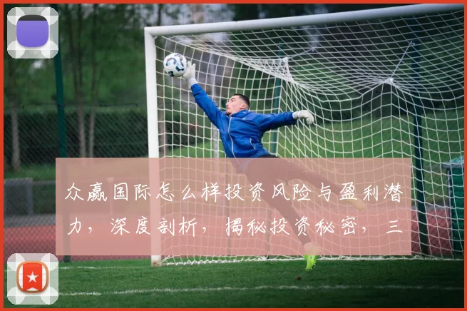 众赢国际怎么样投资风险与盈利潜力，深度剖析，揭秘投资秘密，三大要点不容忽视，必看
