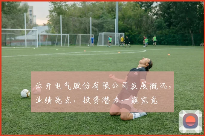云开电气股份有限公司发展概况，业绩亮点，投资潜力一窥究竟