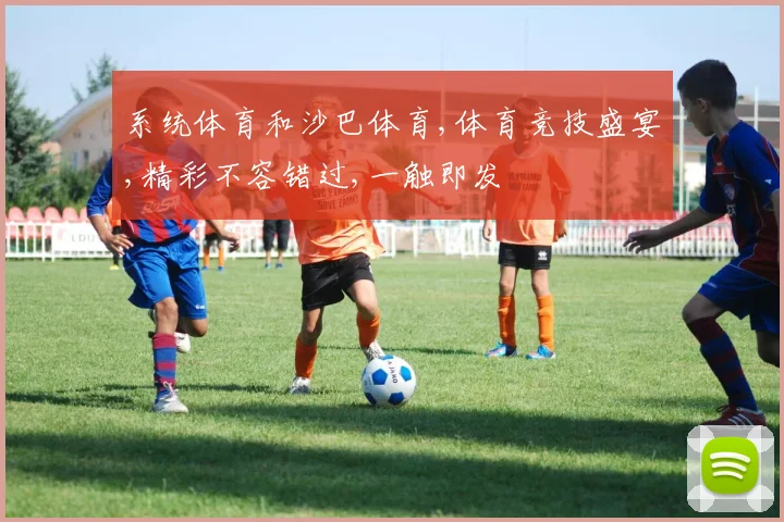 系统体育和沙巴体育,体育竞技盛宴,精彩不容错过,一触即发