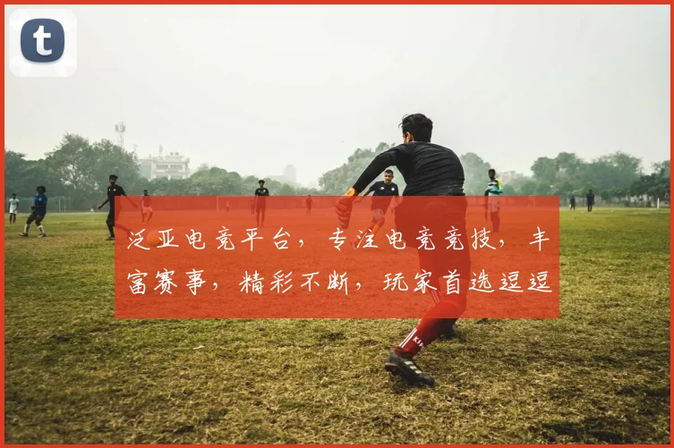 泛亚电竞平台，专注电竞竞技，丰富赛事，精彩不断，玩家首选逗逗逗