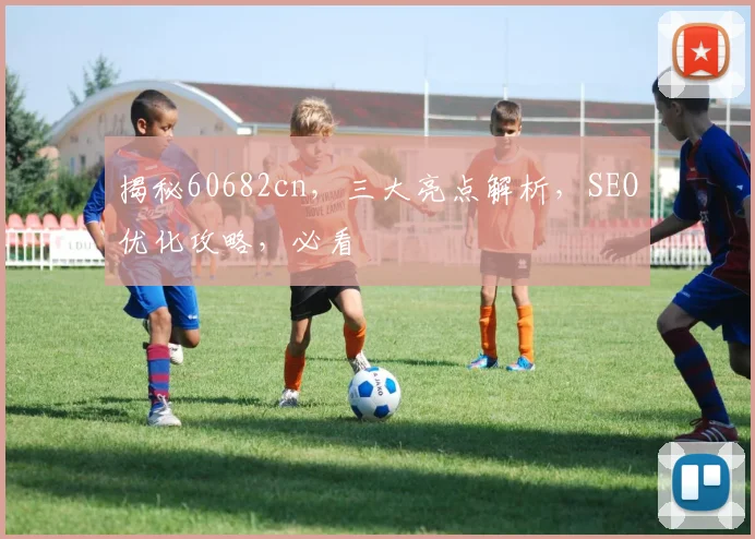 揭秘60682cn，三大亮点解析，SEO优化攻略，必看